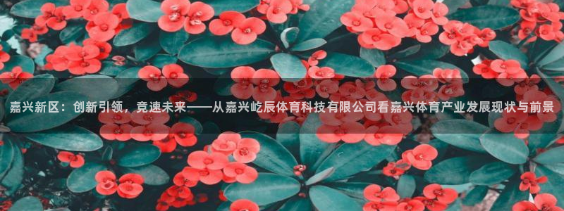 嘉兴新区：创新引领，竞速未来——从嘉兴屹辰体育科技有限公司看嘉兴体育产业发展现状与前景