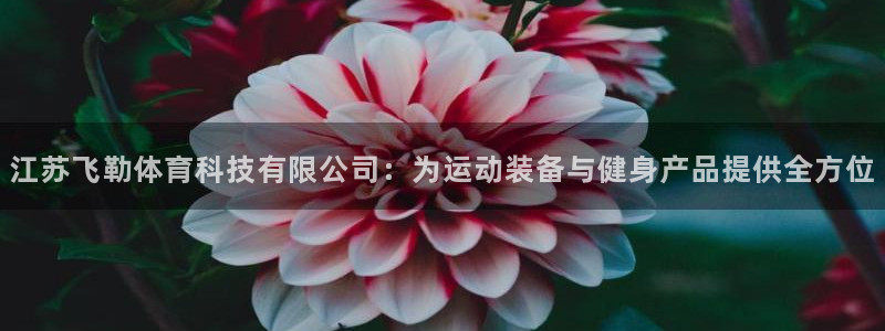 江苏飞勒体育科技有限公司：为运动装备与健身产品提供全方位