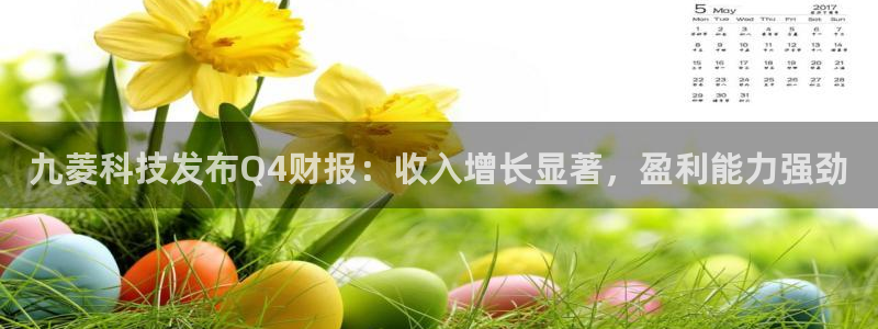九菱科技发布Q4财报：收入增长显著，盈利能力强劲