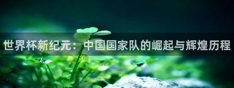 世界杯新纪元：中国国家队的崛起与辉煌历程