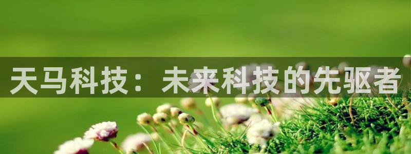天马科技：未来科技的先驱者