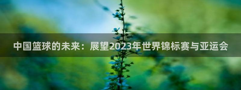 中国篮球的未来：展望2023年世界锦标赛与亚运会