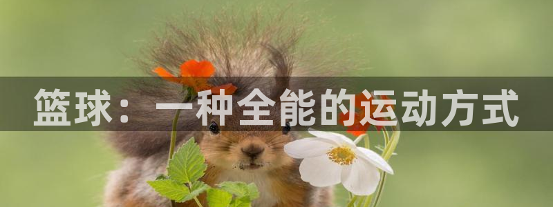 篮球：一种全能的运动方式