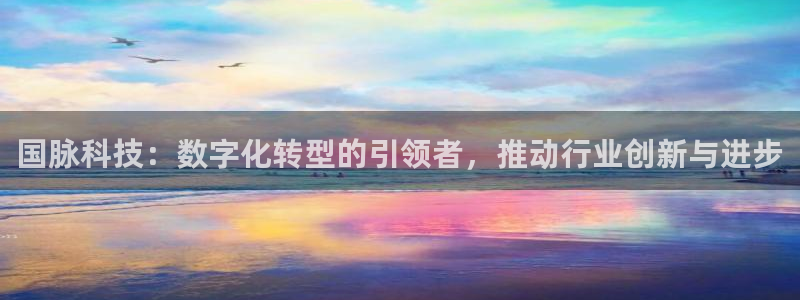 国脉科技：数字化转型的引领者，推动行业创新与进步