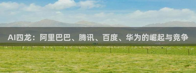 AI四龙：阿里巴巴、腾讯、百度、华为的崛起与竞争