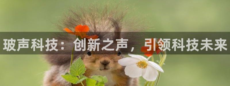 玻声科技：创新之声，引领科技未来
