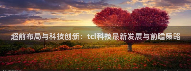 超前布局与科技创新：tcl科技最新发展与前瞻策略