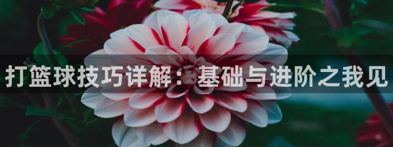 打篮球技巧详解：基础与进阶之我见