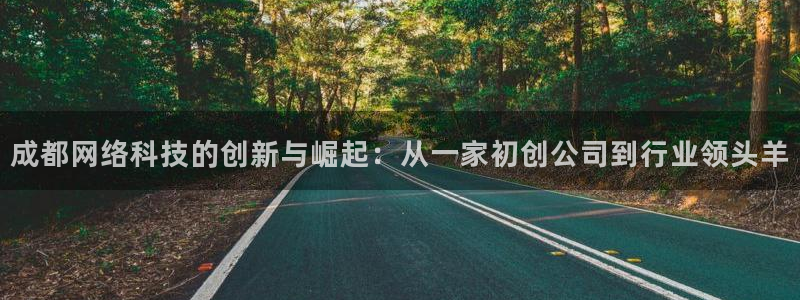 成都网络科技的创新与崛起：从一家初创公司到行业领头羊
