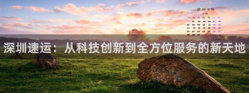 深圳速运：从科技创新到全方位服务的新天地