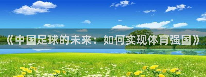 《中国足球的未来：如何实现体育强国》