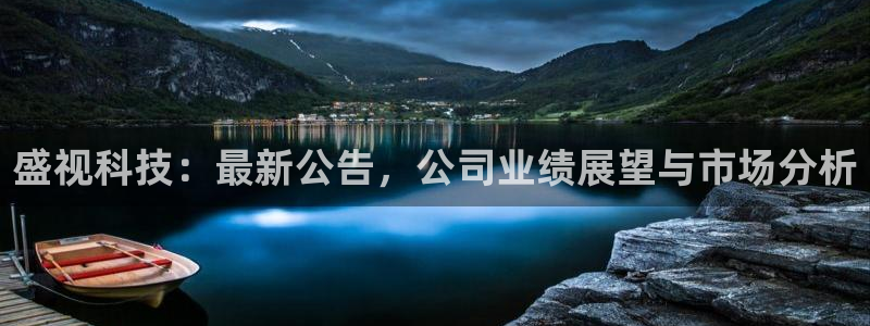 盛视科技：最新公告，公司业绩展望与市场分析