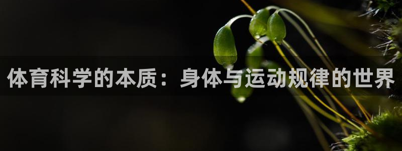 体育科学的本质：身体与运动规律的世界