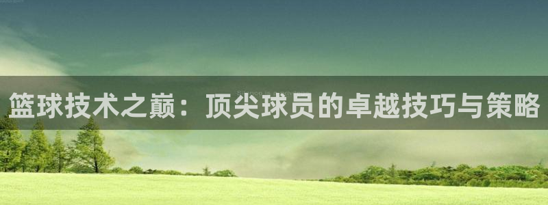 篮球技术之巅：顶尖球员的卓越技巧与策略