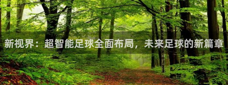 新视界：超智能足球全面布局，未来足球的新篇章