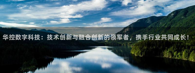 华控数字科技：技术创新与融合创新的领军者，携手行业共同成长！