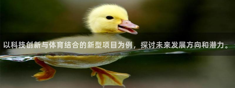 以科技创新与体育结合的新型项目为例，探讨未来发展方向和潜力。