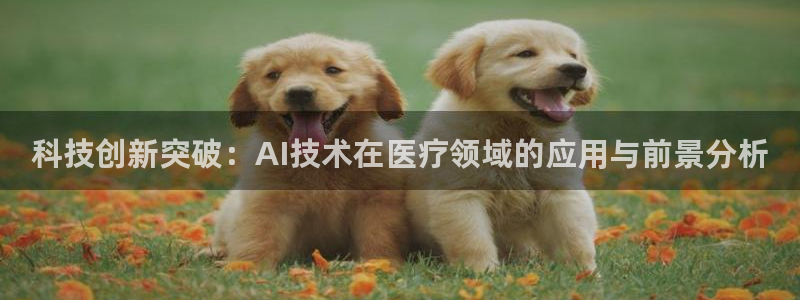 科技创新突破：AI技术在医疗领域的应用与前景分析