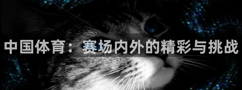 中国体育：赛场内外的精彩与挑战