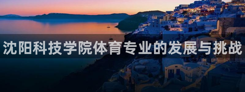 沈阳科技学院体育专业的发展与挑战
