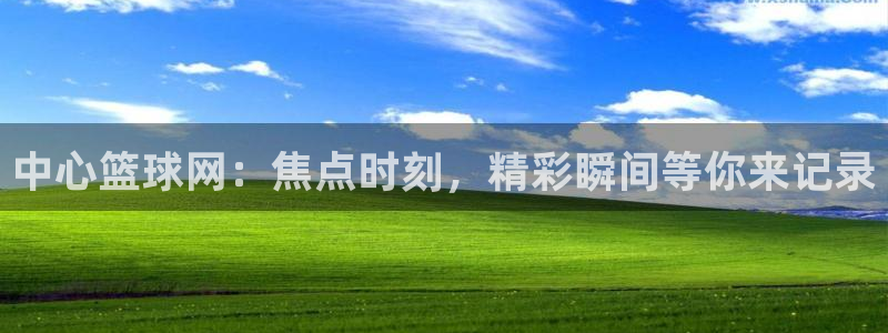 中心篮球网：焦点时刻，精彩瞬间等你来记录