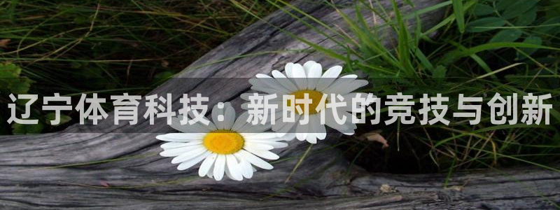 辽宁体育科技：新时代的竞技与创新