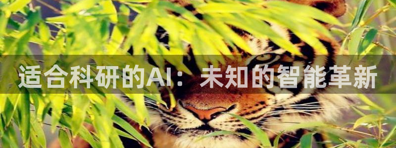 适合科研的AI：未知的智能革新