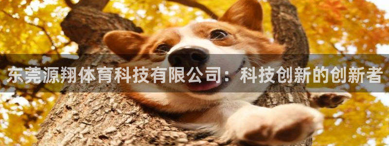 东莞源翔体育科技有限公司：科技创新的创新者