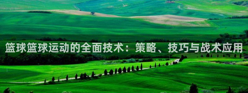 篮球篮球运动的全面技术：策略、技巧与战术应用
