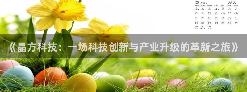 《晶方科技：一场科技创新与产业升级的革新之旅》