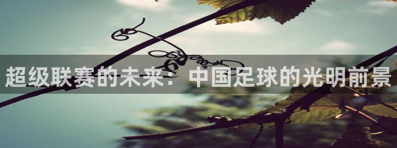超级联赛的未来：中国足球的光明前景