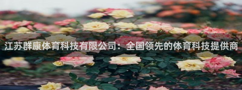 江苏群康体育科技有限公司：全国领先的体育科技提供商