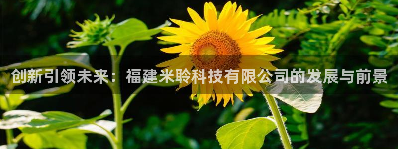 创新引领未来：福建米聆科技有限公司的发展与前景